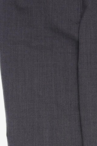 Peserico Pants in XXXL in Grey
