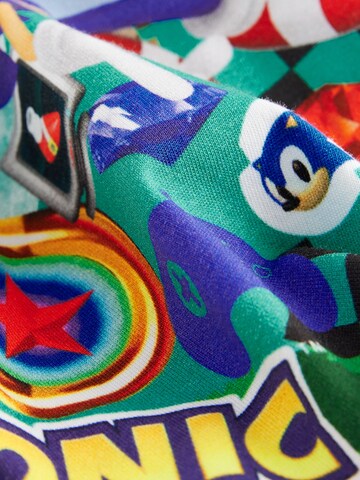 Next Shirt in Mischfarben