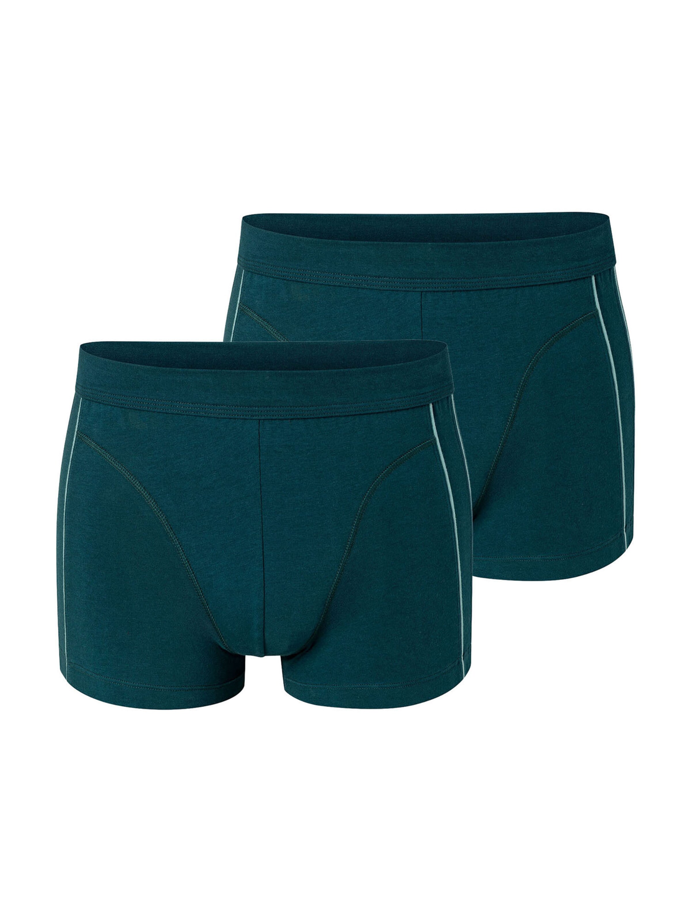 SCHIESSER Boxer shorts ' Comfort Fit ' in Green: front