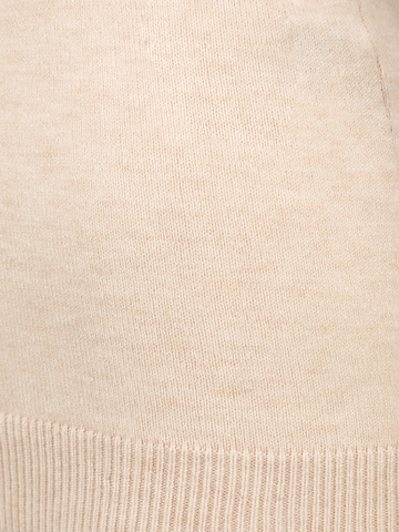 Pull-over 'THESS' OBJECT Petite en beige