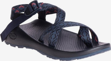 Chaco Sandaalit 'MENS Z/2' värissä sininen: etupuoli