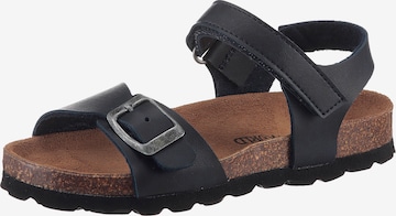 Kidsworld Sandals & Slippers in Blue: front