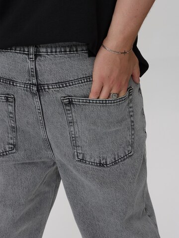 Dxnmxrk Wide Leg Jeans 'DXGary' in Grau