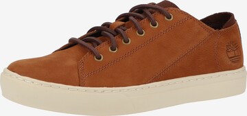 TIMBERLAND Sneakers in Brown: front