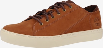 TIMBERLAND Sneakers laag in Bruin: voorkant