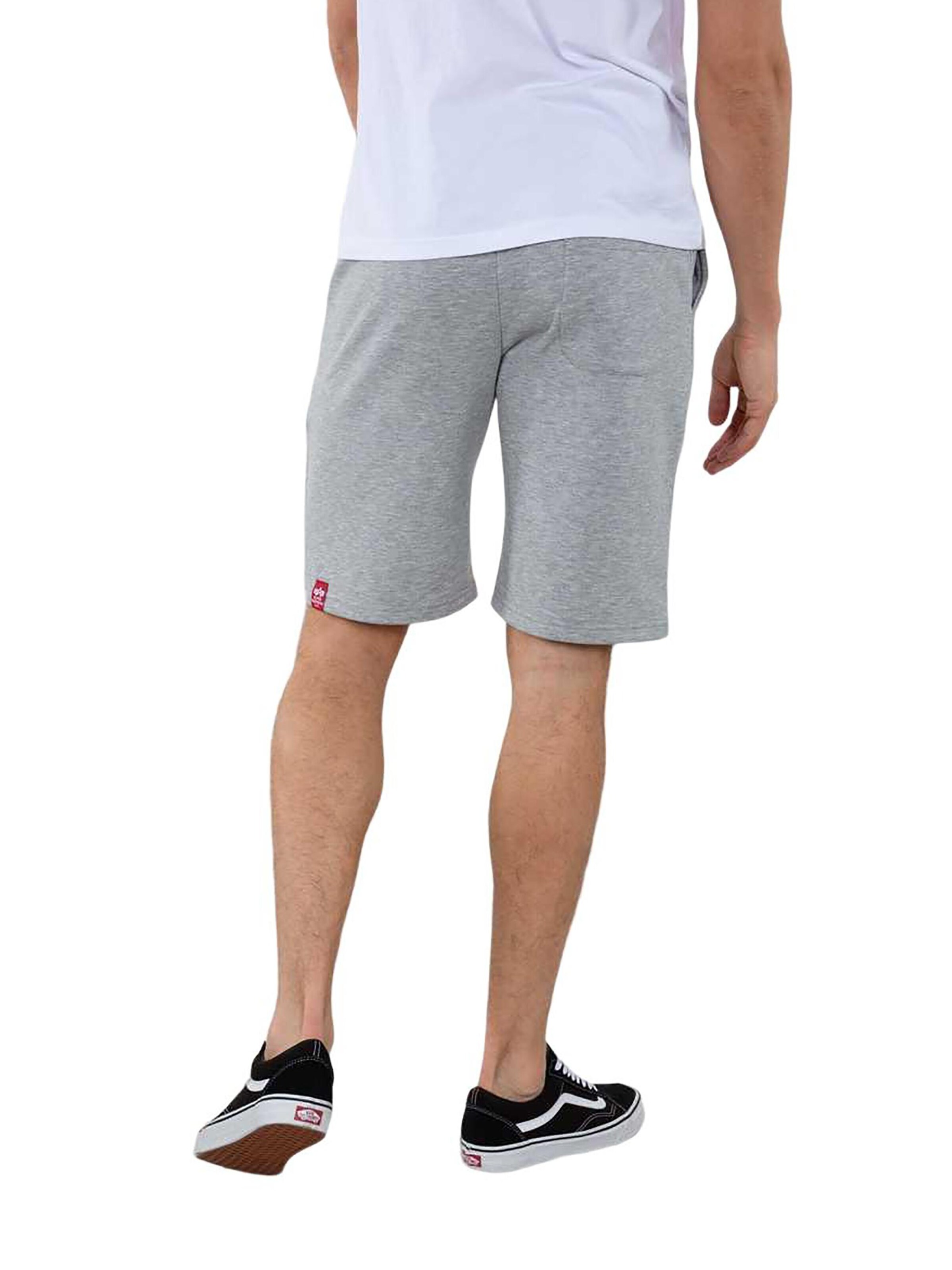 ALPHA INDUSTRIES Regular Hose 'SL'‌ in Grau