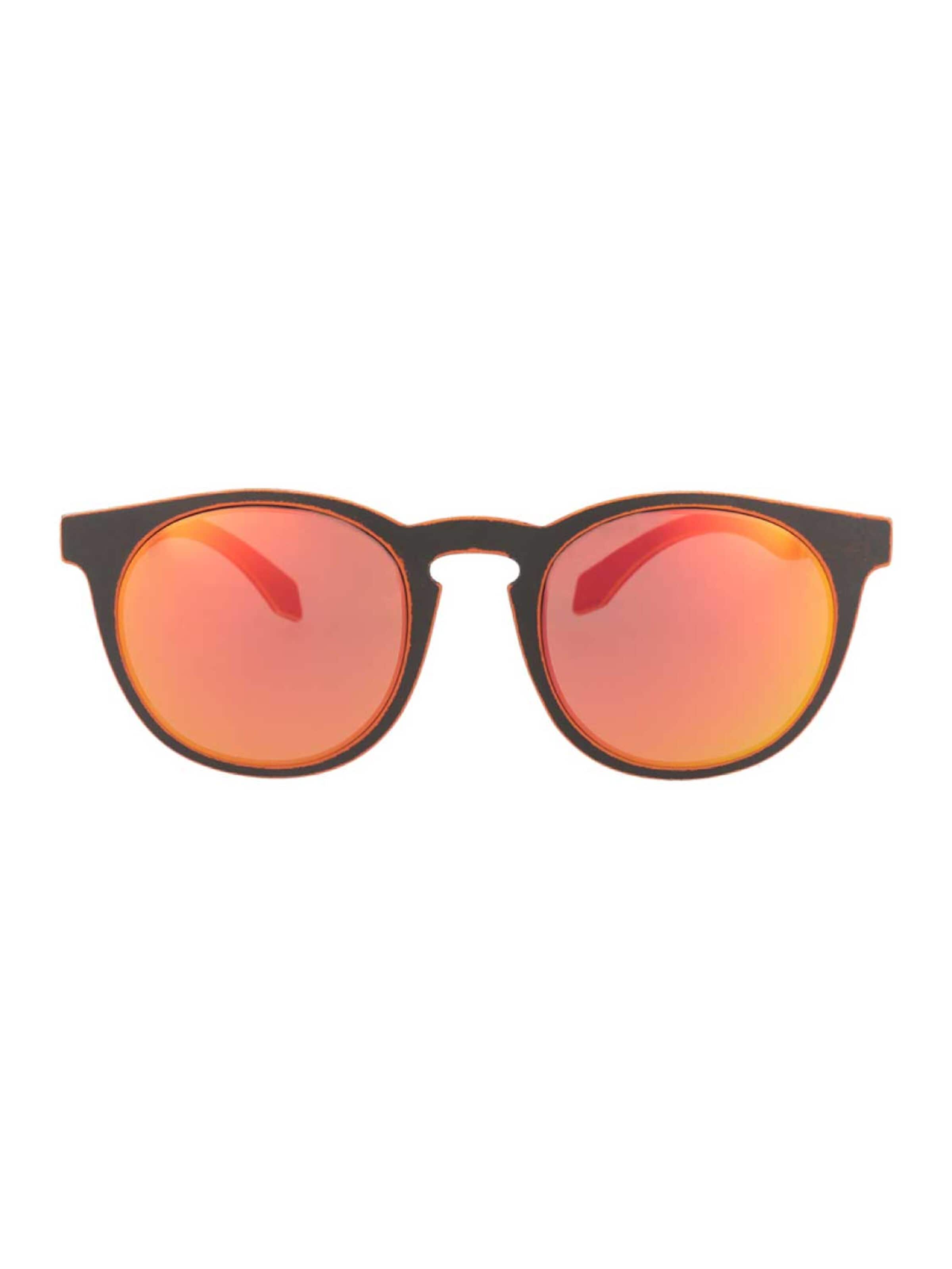 Alsteca Sunglasses 'Wynwood C20' in Black