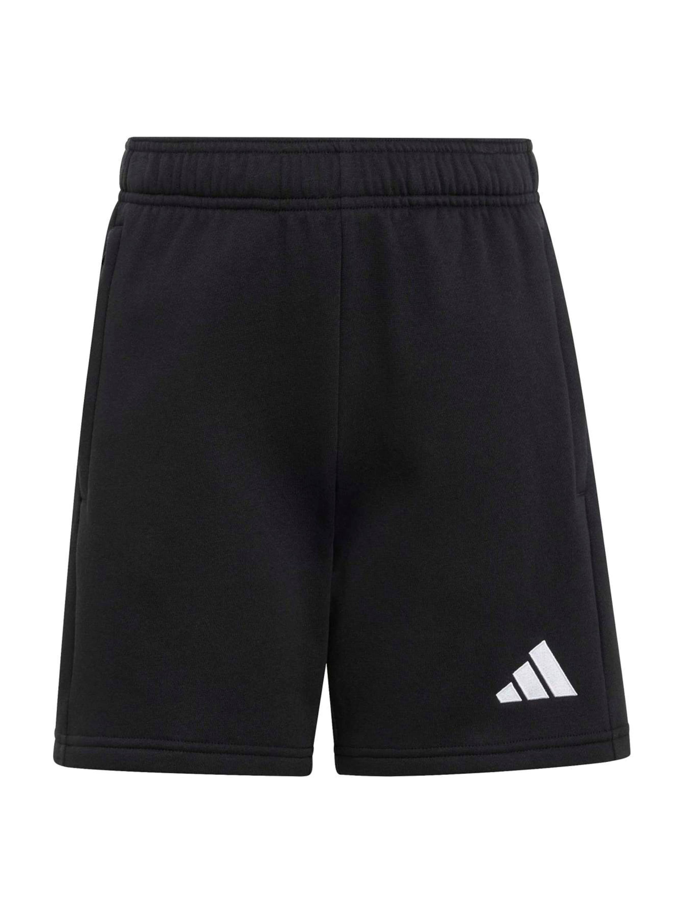 ADIDAS PERFORMANCE - regular Pantalón deportivo 'ENT26' en negro: frente