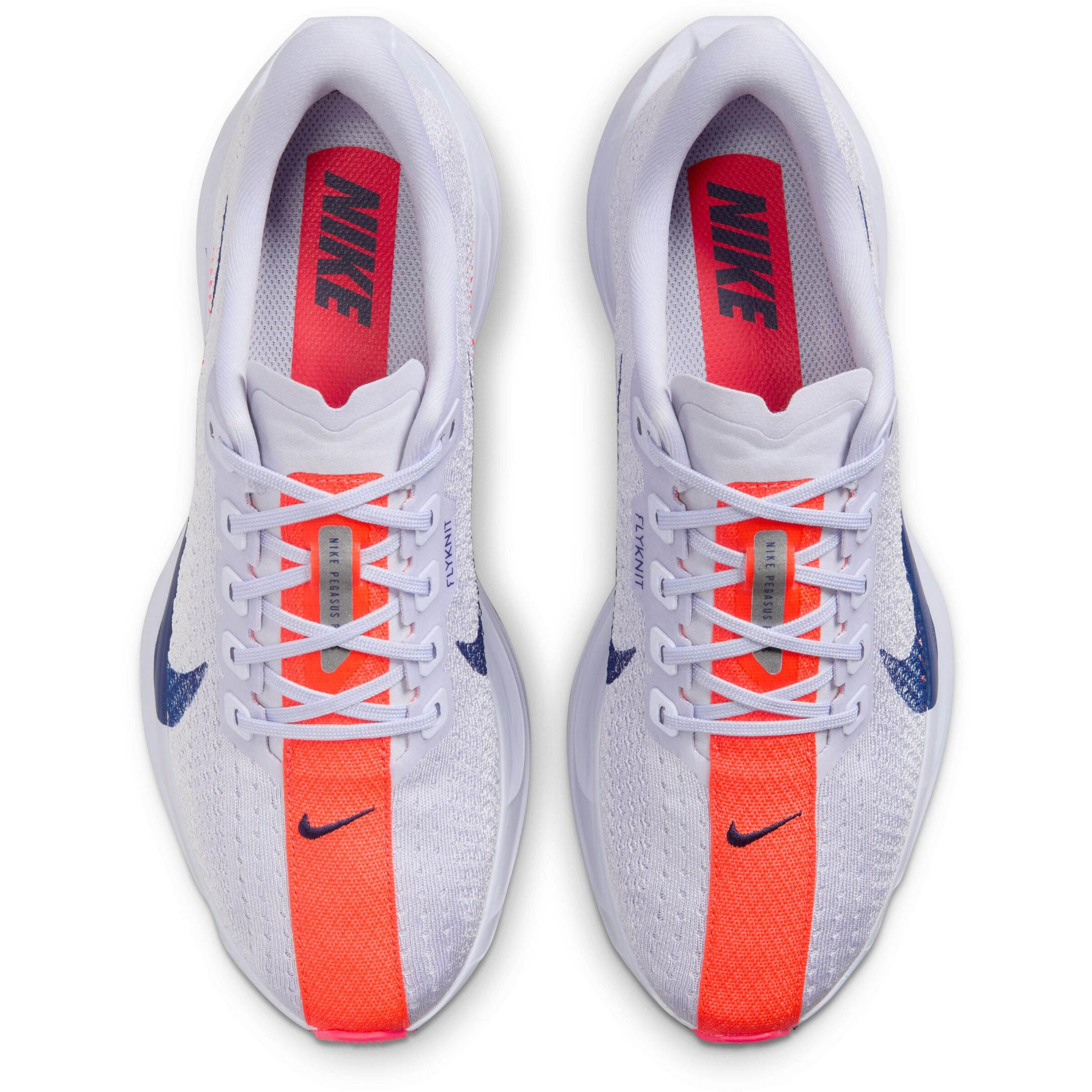 NIKE Laufschuh 'Pegasus Plus' in Blau