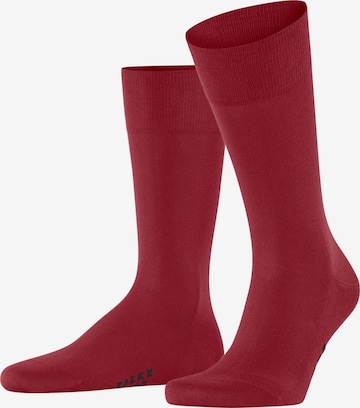 FALKE Socken 'Cool 24/7' in Rot: Vorderseite