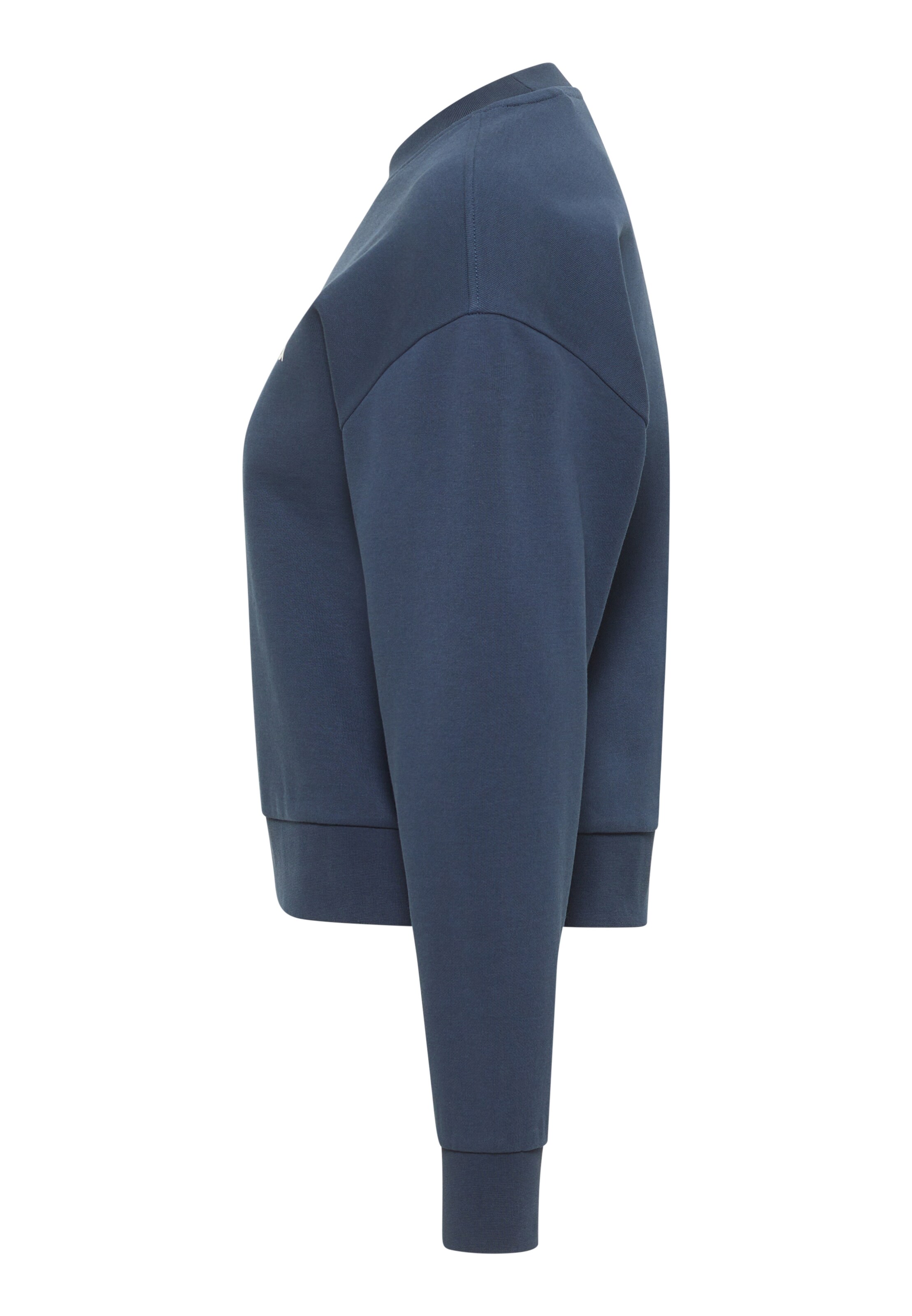 MUSTANG Sweatshirt in Blue