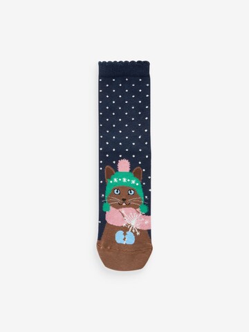 Next Socken in Mischfarben