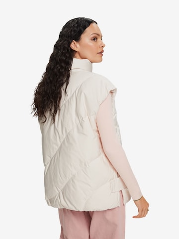 ESPRIT Bodywarmer in Beige