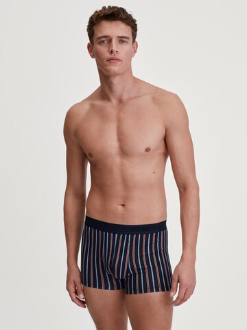Boxer 'Grafic Cotton' di CALIDA in blu: frontale