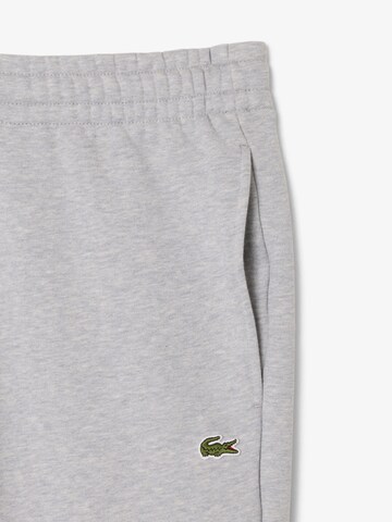 LACOSTE Regular Pants in Grey