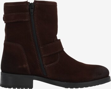 Palado Ankle Boots 'Jostle' in Brown