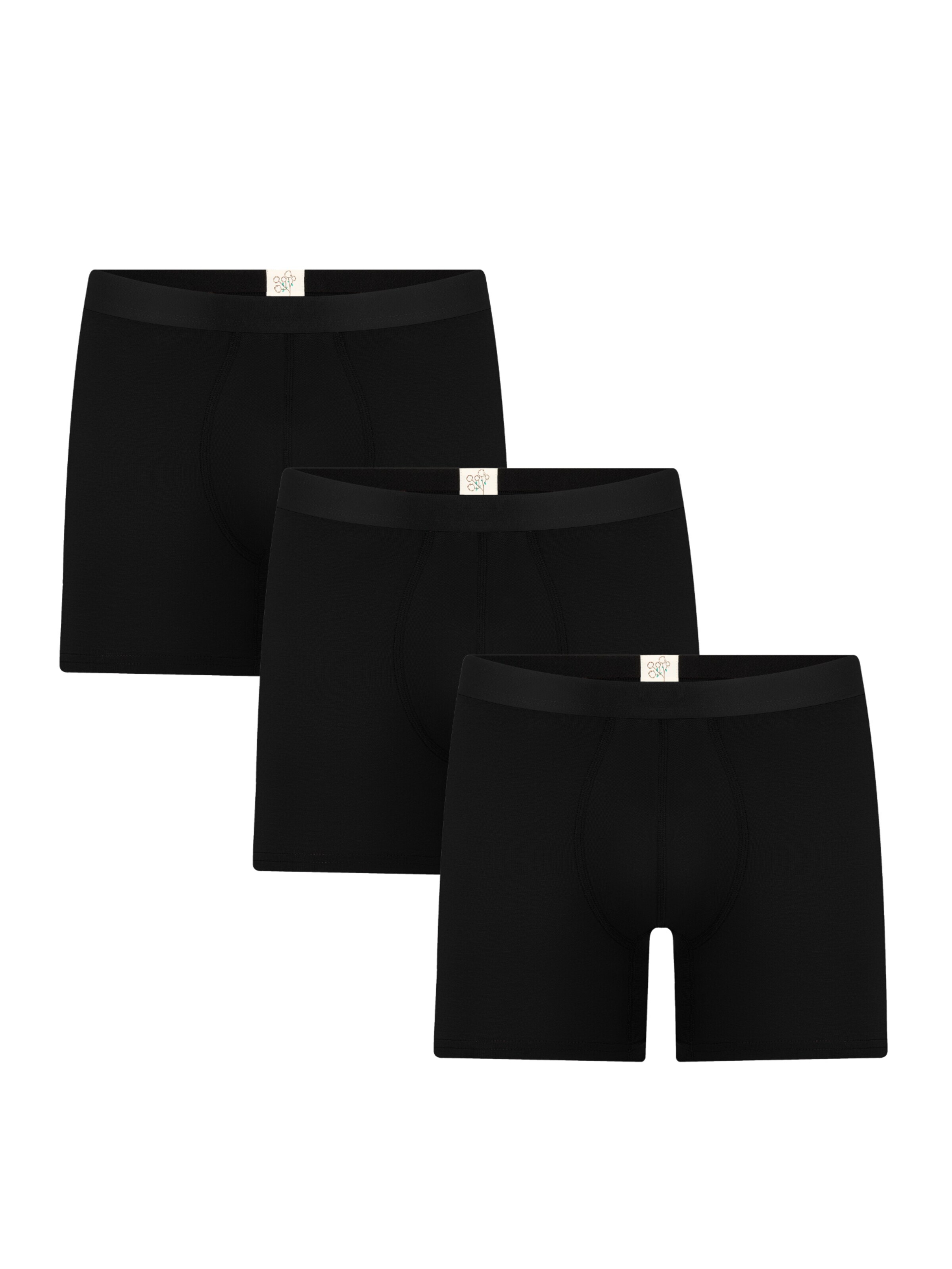 Albero Natur Long Johns 'Long underpants 'Bio-Baumwoll-Herren Long Trunks - 3er Pack'' in Black: front