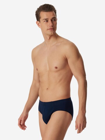 SCHIESSER Slip '95/5 Essentials - Organic Cotton' in Blauw