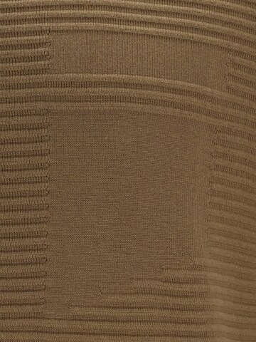 CHASIN' Sweater 'Typhoon' in Brown
