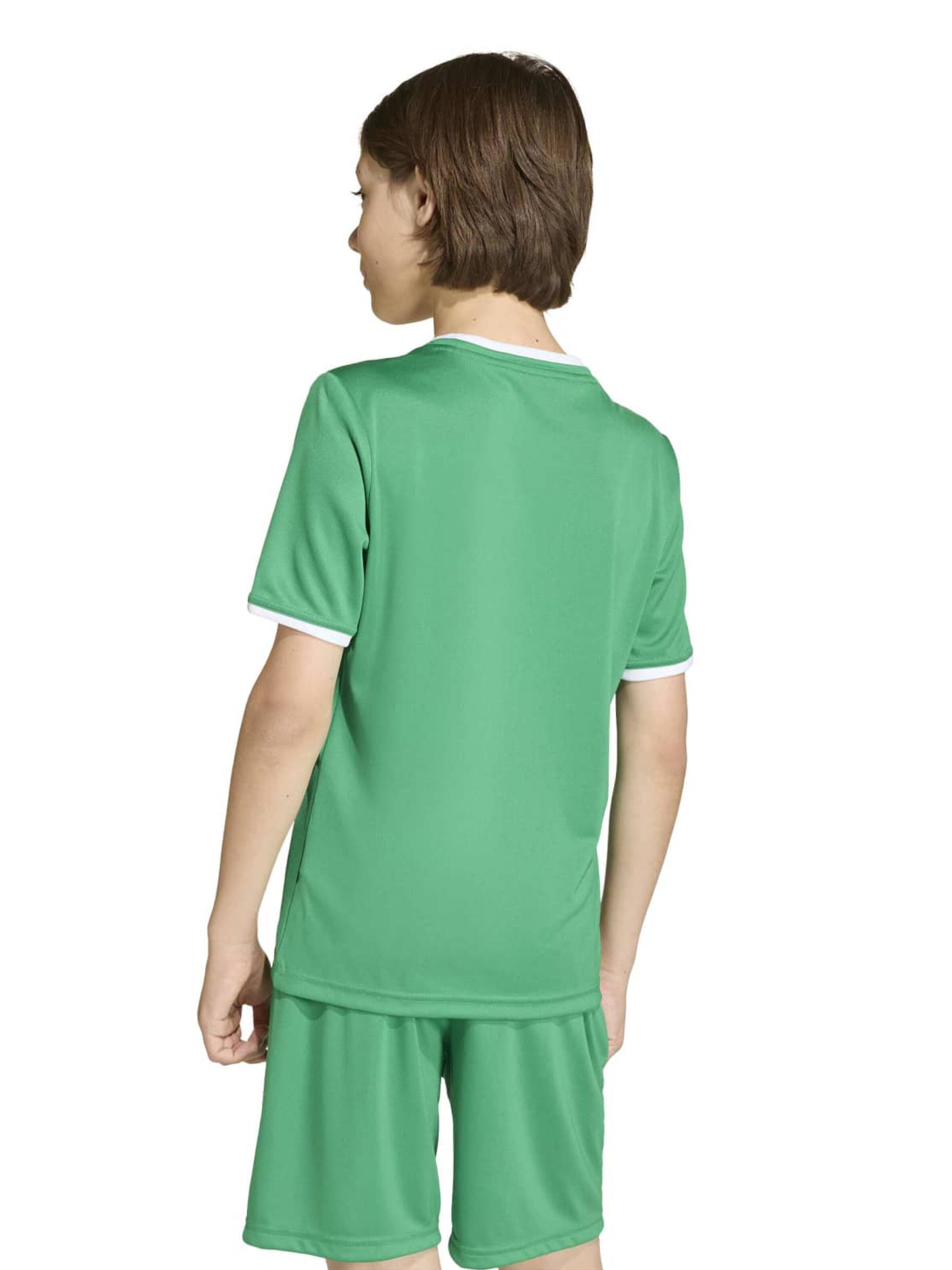 žalia ADIDAS PERFORMANCE Sportiniai marškinėliai 'ENT26'