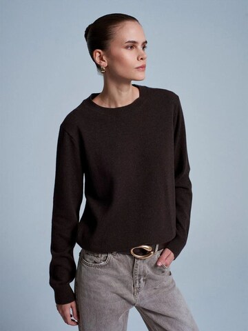 Pull-over 'Pullover' Dilvin en marron