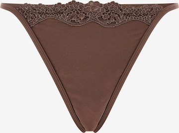 GUESS Thong 'Eveline' in Brown: front