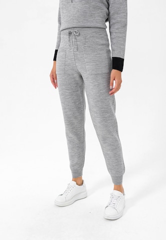 Jimmy Sanders Tapered Hose in Grau: predná strana