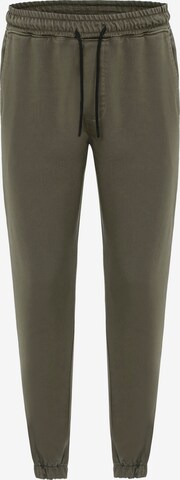 Redbridge Regular Pants in Green: front