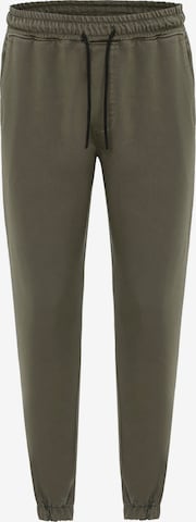 Redbridge Regular Pants in Green: front