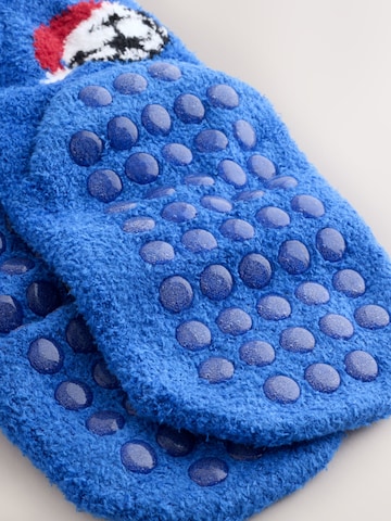 Next - Calcetines en azul