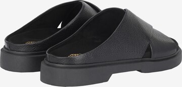 Apple of Eden Mules ' PRIM ' in Black