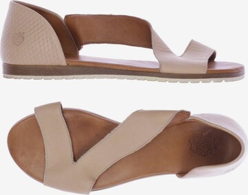 Apple of Eden Sandalen 37 in Beige: predná strana