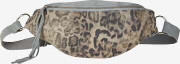 Curuba Fanny Pack 'Flagstaff' in Brown: front