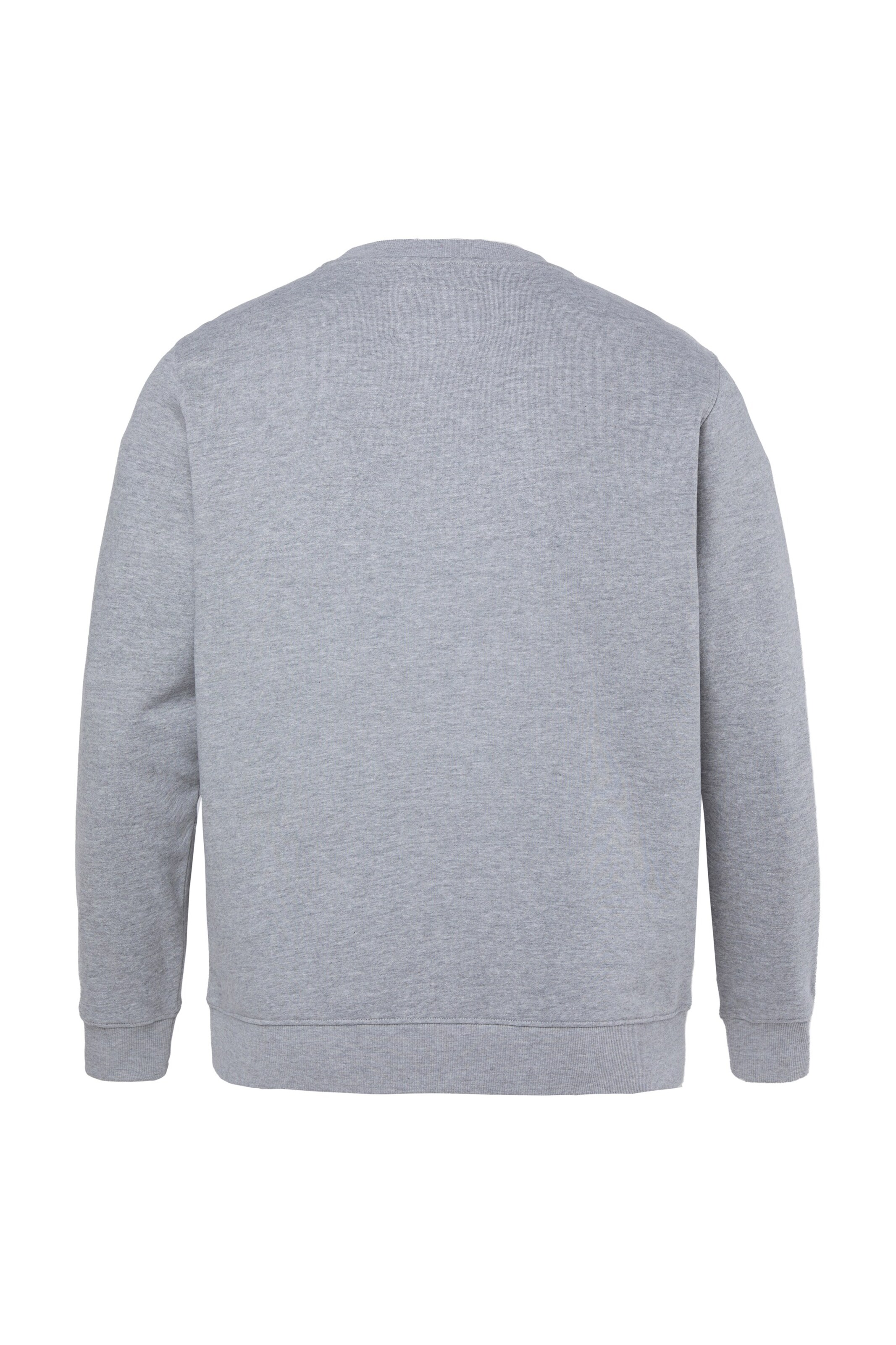 Men Plus Sweatshirt in Grey
