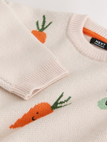 Next Sweater in Beige