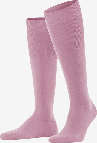 FALKE Knee High Socks 'Airport' in Pink: front