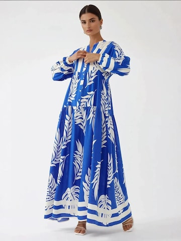 Hiccup Kleid in Blau: Vorderseite