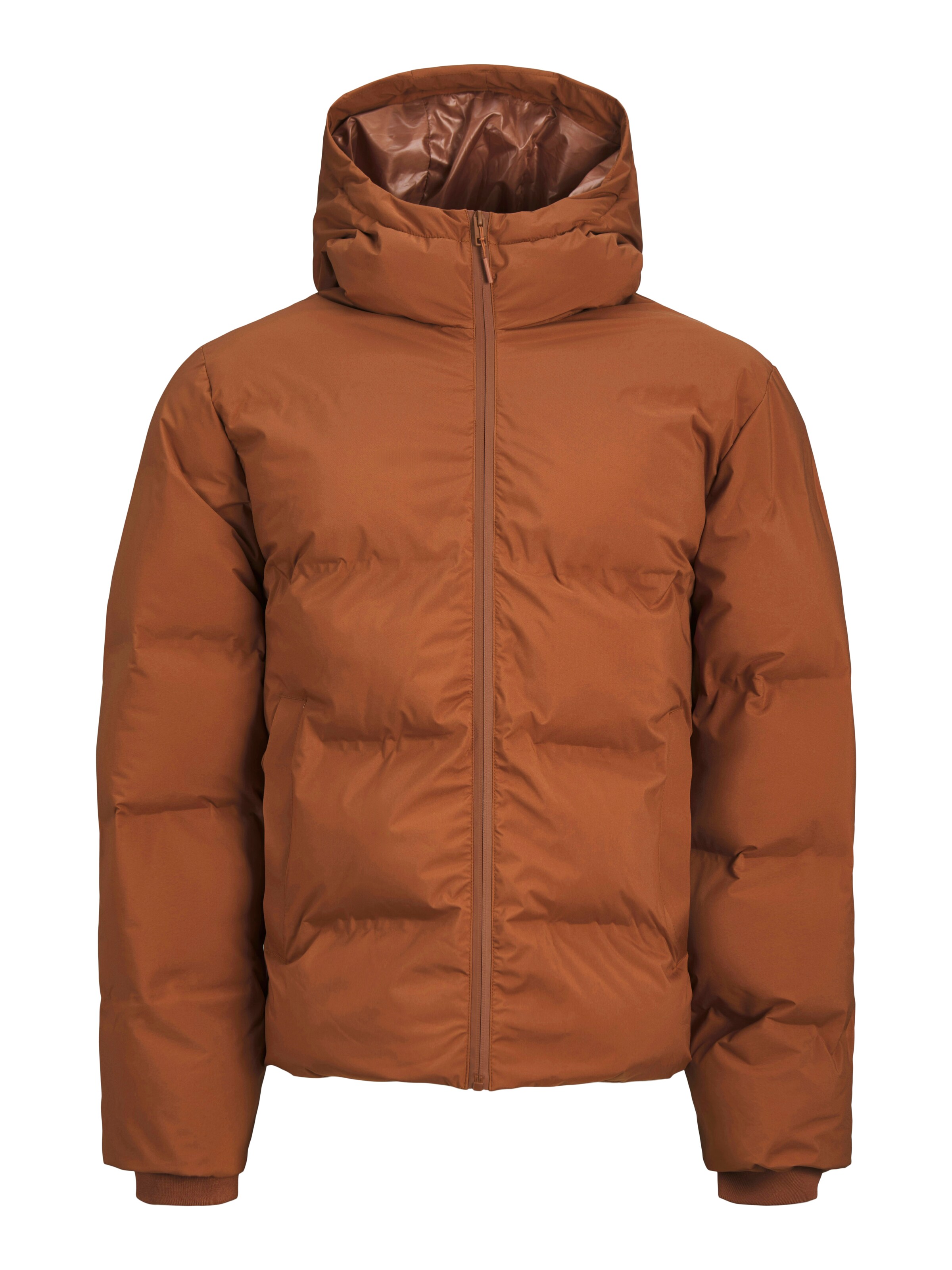 JACK & JONES Winter jacket 'JJPayne' in Brown: front