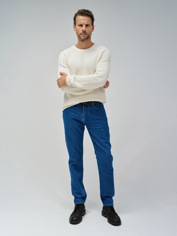 Salsa Jeans Regular Jeans in Blauw: voorkant