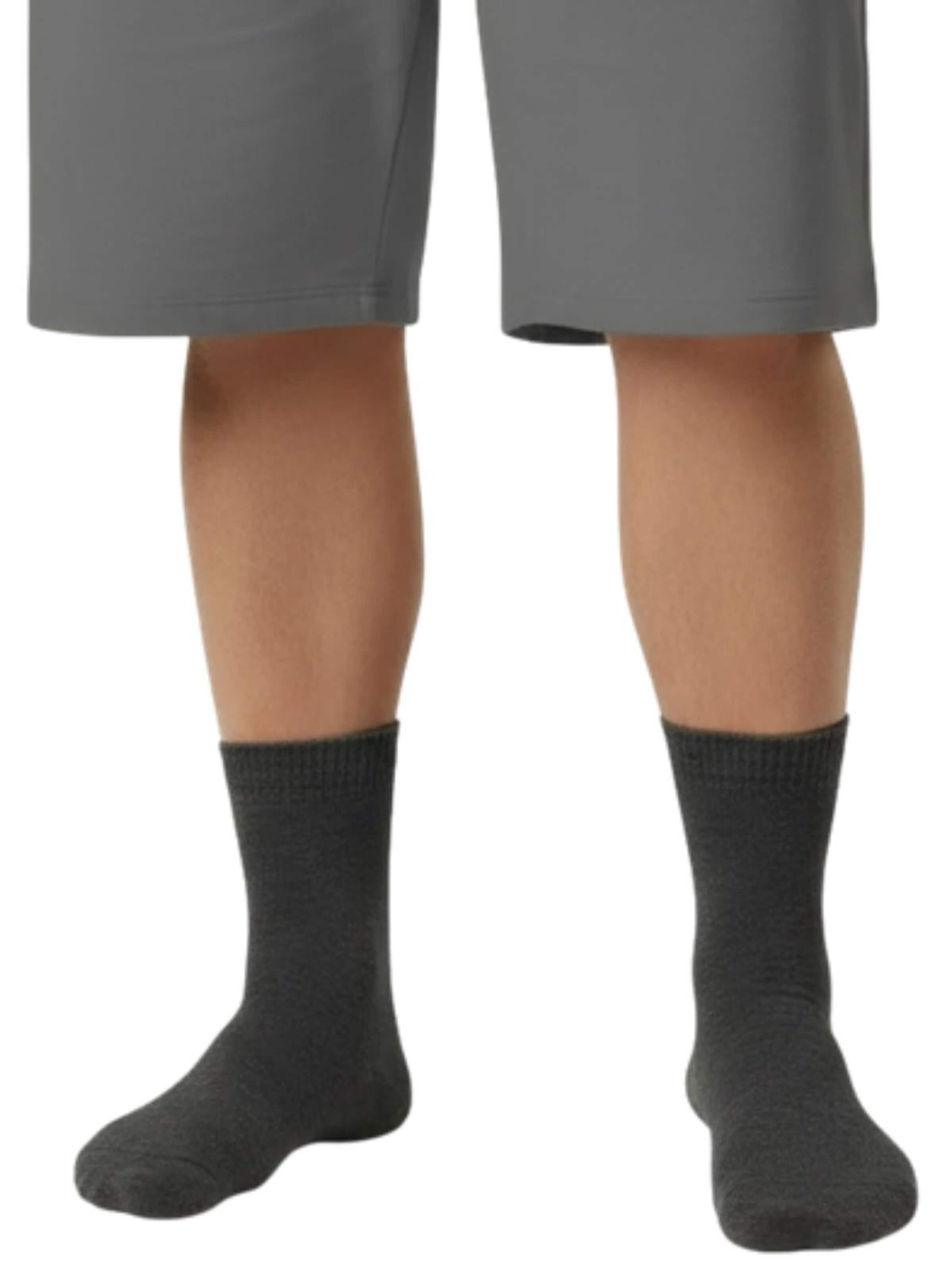 Lavecchia Socks 'LV-904 Übergrößen' in Grey