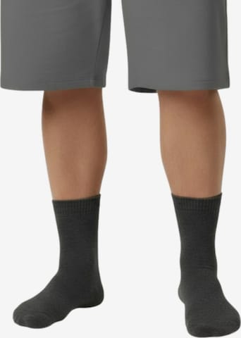 Lavecchia Socks 'LV-904 Übergrößen' in Grey: front