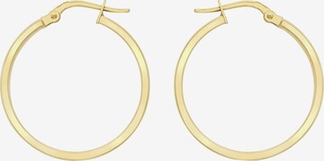 Lucardi Earrings in Gold: front