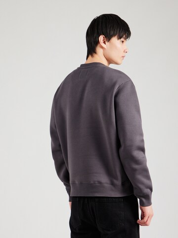 ALPHA INDUSTRIES Sweatshirt i grå