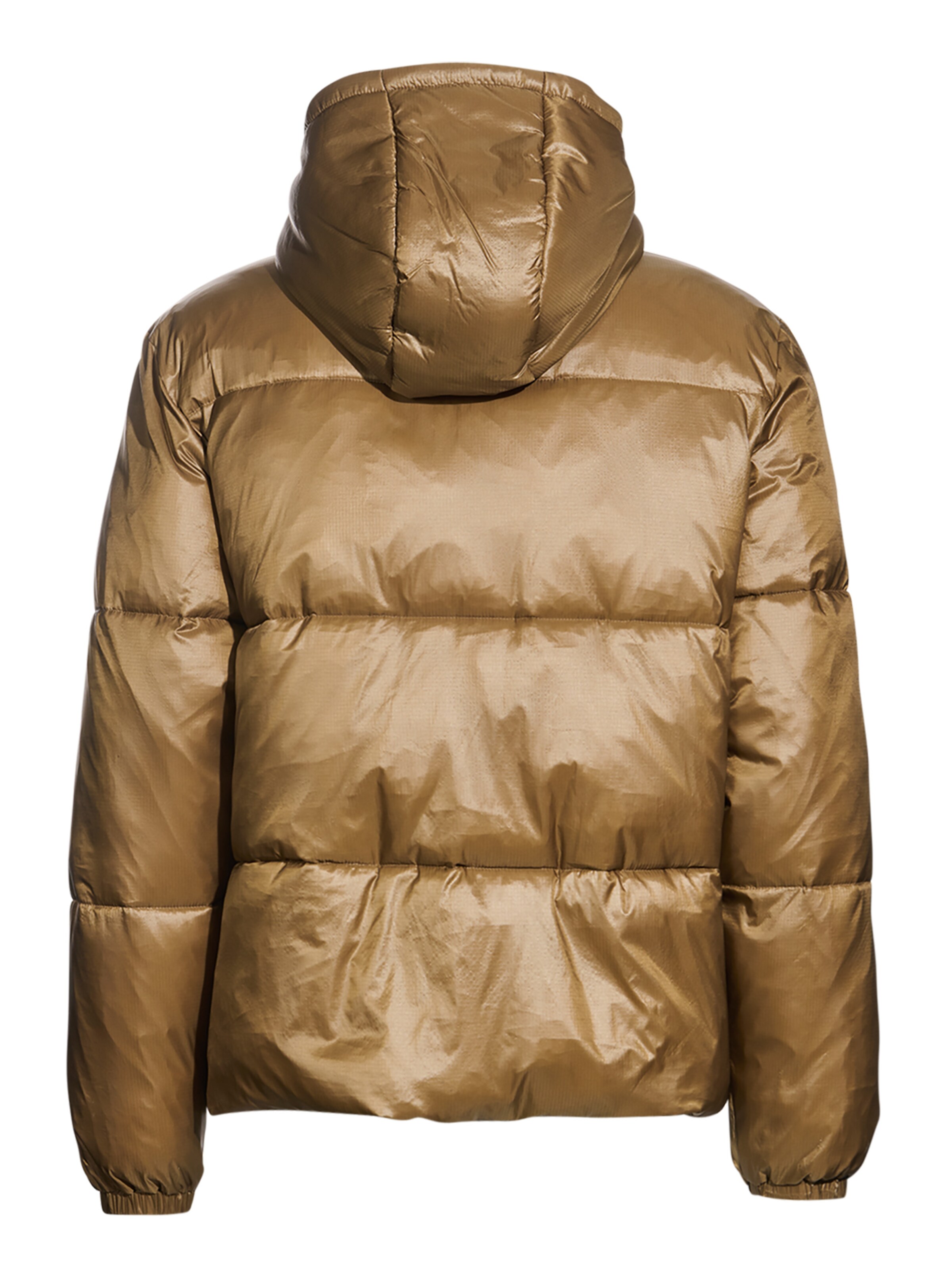 HALO Winterjas 'Trooper' in Bruin