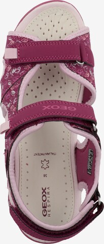 Chaussures ouvertes 'Whinberry' GEOX en rose