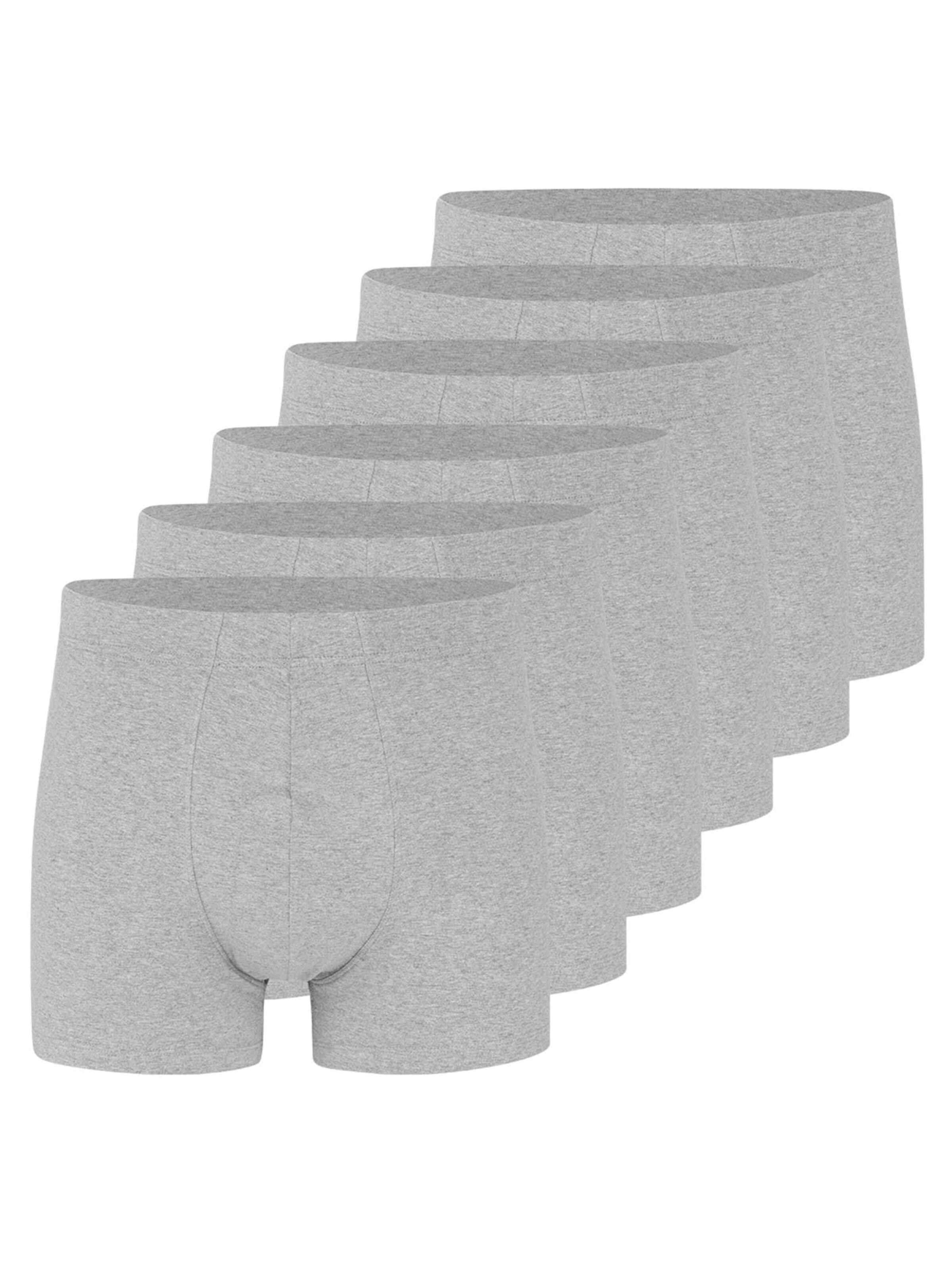 Almonu Boxer shorts 'Cotton' in Grey: front