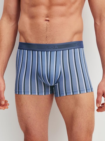 Boxer 'Grafic Cotton' di CALIDA in blu