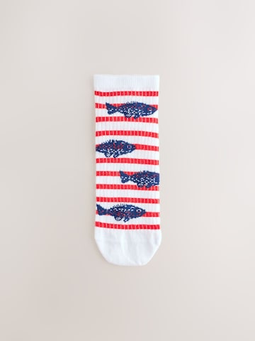 Chaussettes Next en blanc