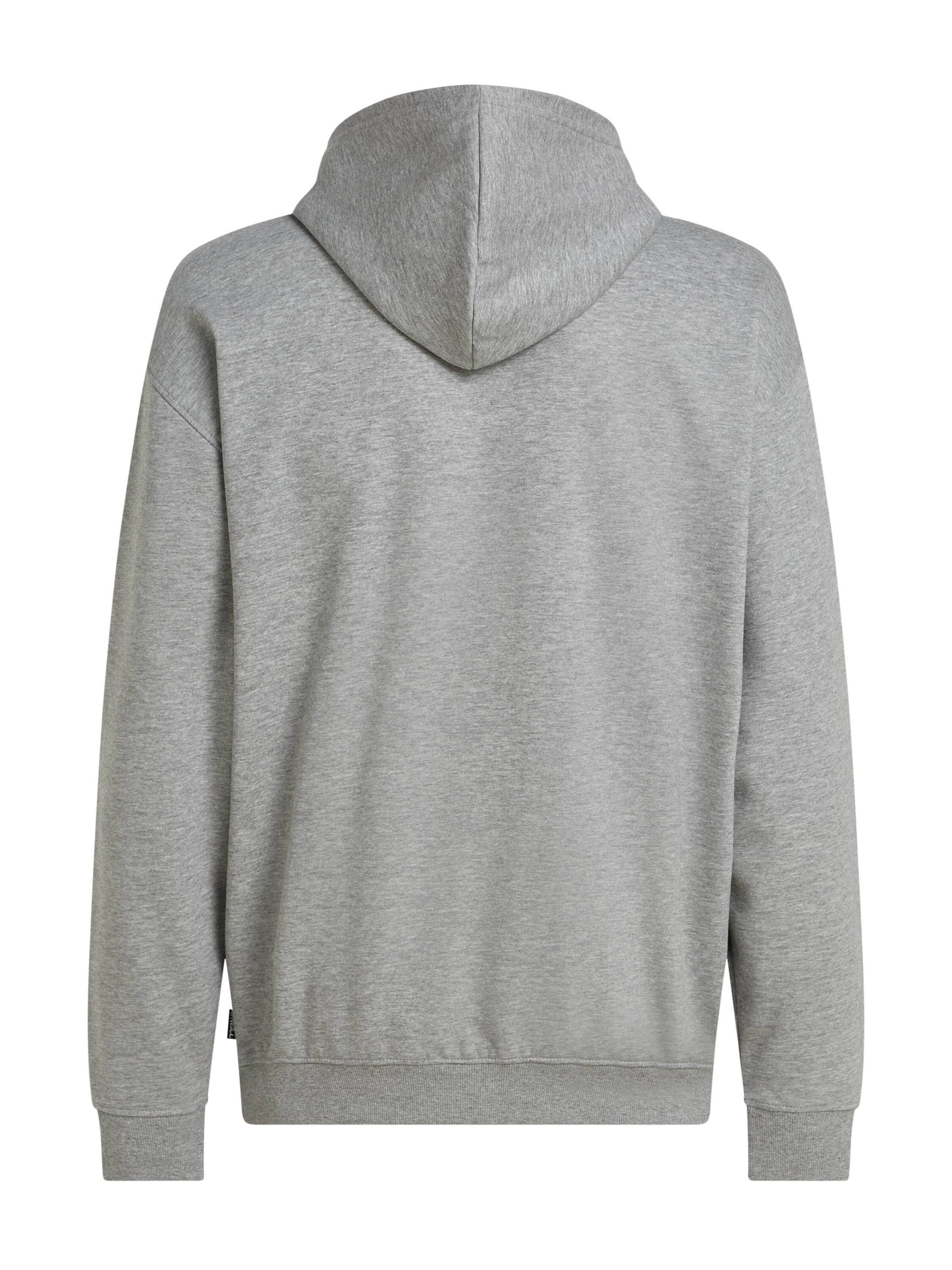 O'NEILL Sweatshirt 'Essentials' in Grey