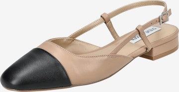 STEVE MADDEN Ballerina 'BELINDA' in Bruin: voorkant